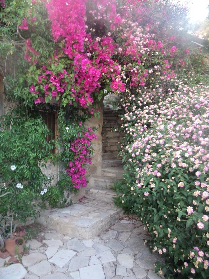 Villa Lantana stone house Lemona Esterno foto